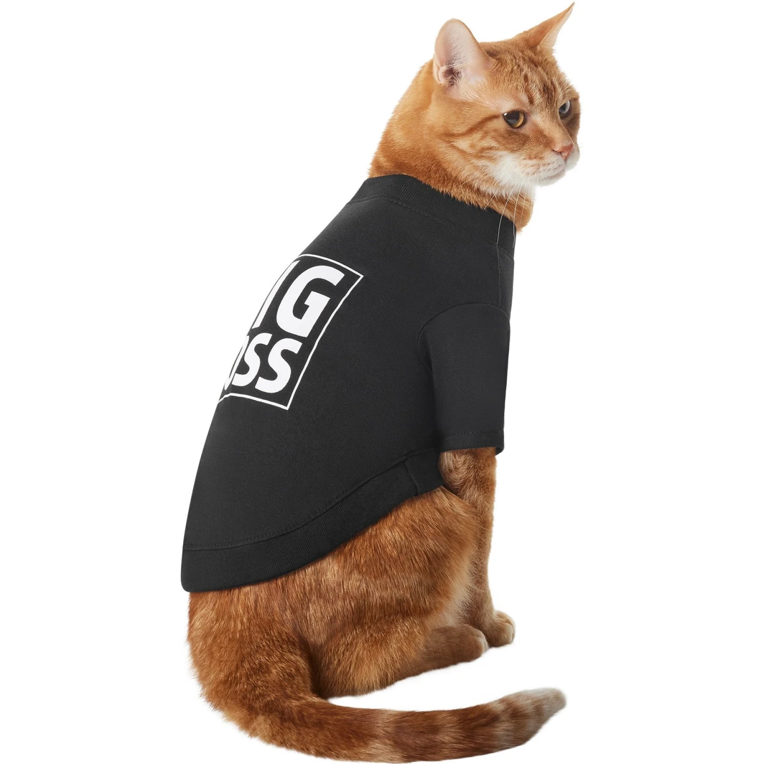 Frisco Big Boss Dog & Cat T-Shirt 5 Frisco Big Boss Dog & Cat T-Shirt - Image 3