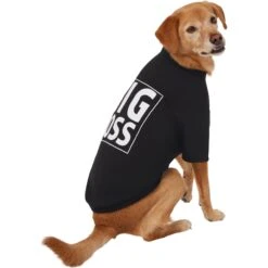Frisco Big Boss Dog & Cat T-Shirt 12 Frisco Big Boss Dog & Cat T-Shirt -Pet Supplies Store 368782 PT4. AC SS1800 V1669100910