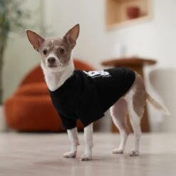 Frisco Big Boss Dog & Cat T-Shirt 14 Frisco Big Boss Dog & Cat T-Shirt -Pet Supplies Store 368782 PT7. AC SS1800 V1664992675