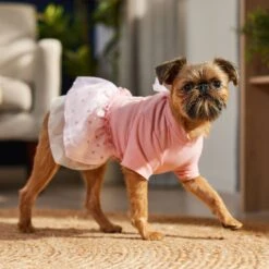 Frisco Tulle Hearts Dog & Cat Dress 19 Frisco Tulle Hearts Dog & Cat Dress -Pet Supplies Store 371070 PT8. AC SS1800 V1700690505