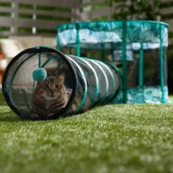 Frisco Mesh Outdoor Extra Wide Pop-up Cat Playpen & Tunnel -Pet Supplies Store 371212 PT6. AC SS1800 V1663094505