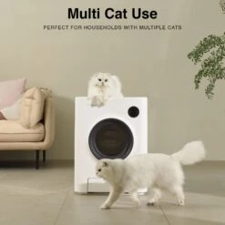 INSTACHEW PURRCLEAN Smart WiFi Enabled Covered Automatic Self-Cleaning Cat Litter Box, White 15 INSTACHEW PURRCLEAN Smart WiFi Enabled Covered Automatic Self-Cleaning Cat Litter Box, White -Pet Supplies Store 371228 PT4. AC SS1800 V1660515356