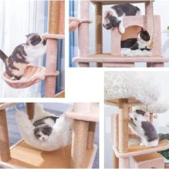 Catry 75-in Scratching Posts Condo Cat Tree, Beige 15 Catry 75-in Scratching Posts Condo Cat Tree, Beige -Pet Supplies Store 373043 PT4. AC SS1800 V1647027995