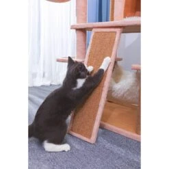 Catry 75-in Scratching Posts Condo Cat Tree, Beige 18 Catry 75-in Scratching Posts Condo Cat Tree, Beige -Pet Supplies Store 373043 PT7. AC SS1800 V1647029198