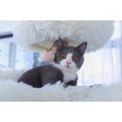 Catry 75-in Scratching Posts Condo Cat Tree, Beige 19 Catry 75-in Scratching Posts Condo Cat Tree, Beige -Pet Supplies Store 373043 PT8. AC SS1800 V1647028285