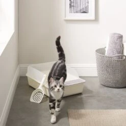 Sam's Pets Helix Cat Litter Box, White 12 Sam's Pets Helix Cat Litter Box, White -Pet Supplies Store 373533 PT1. AC SS1800 V1647639389