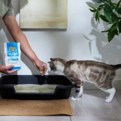Dr. Elsey's Precious Cat Ultra Litter Attractant 9 Dr. Elsey's Precious Cat Ultra Litter Attractant -Pet Supplies Store 47187 PT4. AC SS1800 V1680789681