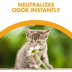 Feline Pine Original Non-Clumping Wood Cat Litter -Pet Supplies Store 47407 PT3. AC SS1800 V1663797194