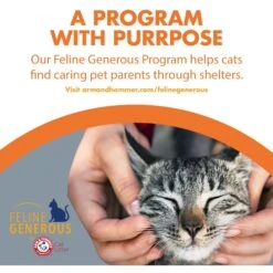 Feline Pine Original Non-Clumping Wood Cat Litter -Pet Supplies Store 47407 PT8. AC SS1800 V1663797230