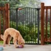 Frisco Outdoor Steel Arch Extra Tall Auto-Close Dog Gate 2 Frisco Outdoor Steel Arch Extra Tall Auto-Close Dog Gate -Pet Supplies Store 507102 MAIN. AC SS1800 V1668736255