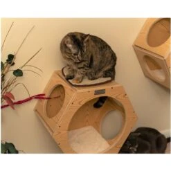 Armarkat Real Wood Cat Wall Additions, Natural Beige, 2 Count -Pet Supplies Store 515630 PT5. AC SS1800 V1649349399