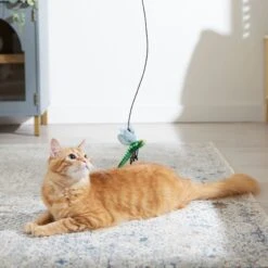 Frisco Leaf & Dragonfly Interchangeable Teaser Wand Cat Toy With Catnip 8 Frisco Leaf & Dragonfly Interchangeable Teaser Wand Cat Toy With Catnip -Pet Supplies Store 525982 PT3. AC SS1800 V1669148131