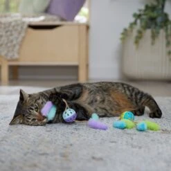 Frisco Fabric & Play Plastic Balls Cat Toy -Pet Supplies Store 526030 PT3. AC SS1800 V1669148132