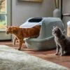 Frisco Mega Deluxe Litter Box 1 Frisco Mega Deluxe Litter Box -Pet Supplies Store 526526 MAIN. AC SS1800 V1659623787