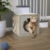 Way Basics 12.6-in Katsquare Cube Scratching Post 1 Way Basics 12.6-in Katsquare Cube Scratching Post -Pet Supplies Store 530438 MAIN. AC SS1800 V1651684296
