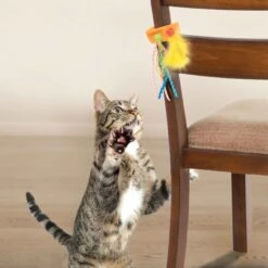 Petlinks Tethered Teaser Re-attachable Ribbon & Feather Cat Toy, Multi Color, Large -Pet Supplies Store 531526 PT1. AC SS1800 V1652776594