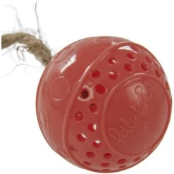 Petlinks Bobble Ball Soft Touch Dental Ball With Faux Fur Tail Cat Toy, Coral, Small 9 Petlinks Bobble Ball Soft Touch Dental Ball With Faux Fur Tail Cat Toy, Coral, Small -Pet Supplies Store 531558 PT2. AC SS1800 V1652743909