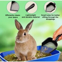 SunGrow Corner Box Clumping Fine Sand Cat Litter Scooper 11 SunGrow Corner Box Clumping Fine Sand Cat Litter Scooper -Pet Supplies Store 536566 PT2. AC SS1800 V1657658870
