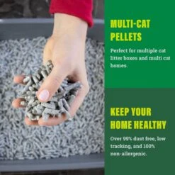 Fresh News Non-Clumping Scented Paper Cat Litter, 25-lb Bag 14 Fresh News Non-Clumping Scented Paper Cat Litter, 25-lb Bag -Pet Supplies Store 539206 PT3. AC SS1800 V1667517974