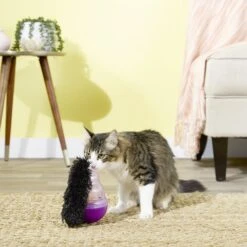 KONG Cat Wobbler Treat Dispenser 12 KONG Cat Wobbler Treat Dispenser -Pet Supplies Store 54926 PT4. AC SS1800 V1545170374