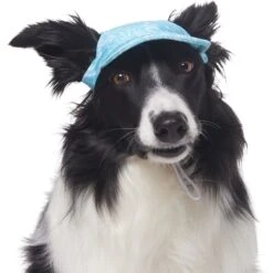 Frisco Blue Ocean Waves 30 + UPF Dog & Cat Beach Cap -Pet Supplies Store 556182 PT3. AC SS1800 V1677530963