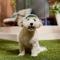 Frisco Blue Ocean Waves 30 + UPF Dog & Cat Beach Cap -Pet Supplies Store 556182 PT5. AC SS1800 V1675714092