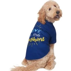 Frisco I Live In The Sunshine Dog & Cat T-Shirt 12 Frisco I Live In The Sunshine Dog & Cat T-Shirt -Pet Supplies Store 556222 PT3. AC SS1800 V1674829145