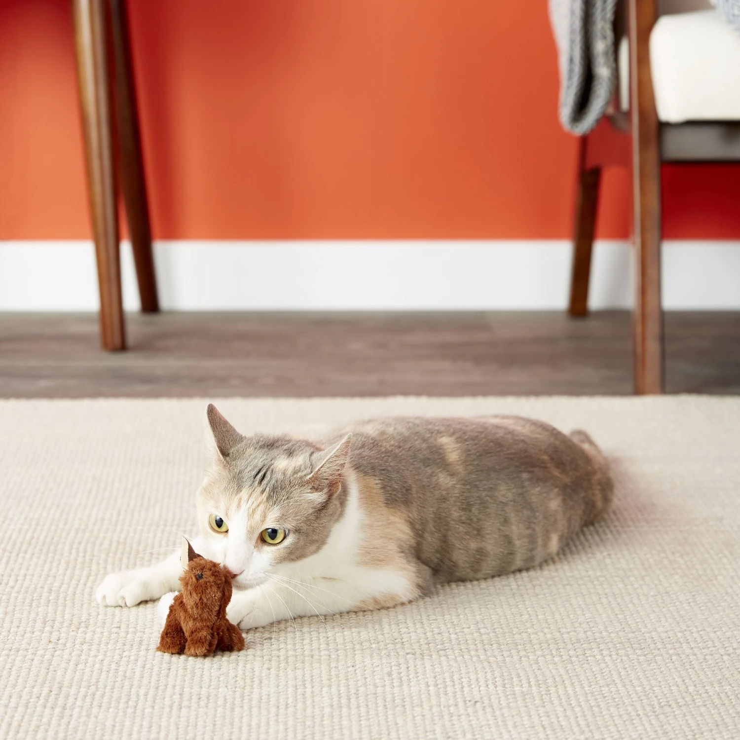 OurPets Backyard Squeaking Bunny Cat Toy 7 OurPets Backyard Squeaking Bunny Cat Toy - Image 5