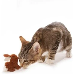 OurPets Backyard Squeaking Bunny Cat Toy 13 OurPets Backyard Squeaking Bunny Cat Toy -Pet Supplies Store 55742 PT8. AC SS1800 V1526316422