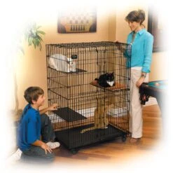 MidWest Collapsible Wire Cat Cage Playpen 17 MidWest Collapsible Wire Cat Cage Playpen -Pet Supplies Store 60753 PT7. AC SS1800 V1477401166