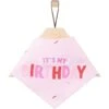 Frisco Dog & Cat Birthday Bandana 1 Frisco Dog & Cat Birthday Bandana -Pet Supplies Store 608206 MAIN. AC SS1800 V1676643308