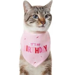 Frisco Dog & Cat Birthday Bandana 12 Frisco Dog & Cat Birthday Bandana -Pet Supplies Store 608206 PT2. AC SS1800 V1676644511