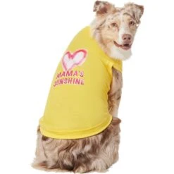 Frisco Mama's Sunshine Dog & Cat T-Shirt -Pet Supplies Store 608446 PT3. AC SS1800 V1676586071