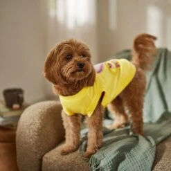 Frisco Mama's Sunshine Dog & Cat T-Shirt -Pet Supplies Store 608446 PT7. AC SS1800 V1676586009