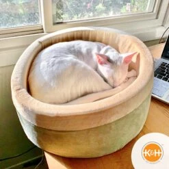 K&H Pet Products Thermo-Kitty Bed Indoor Heated Cat Bed 13 K&H Pet Products Thermo-Kitty Bed Indoor Heated Cat Bed -Pet Supplies Store 61594 PT3. AC SS1800 V1653341492