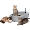 PetSafe Multi-Cat Litter Box -Pet Supplies Store 617526 MAIN. AC SS1800 V1660233556