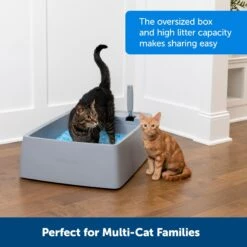 PetSafe Multi-Cat Litter Box 12 PetSafe Multi-Cat Litter Box -Pet Supplies Store 617526 PT1. AC SS1800 V1660257512