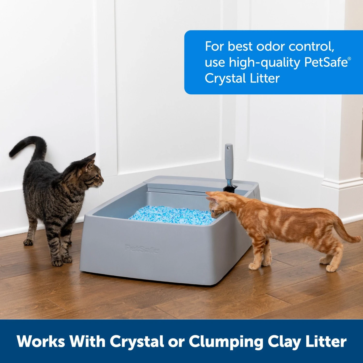 PetSafe Multi-Cat Litter Box 8 PetSafe Multi-Cat Litter Box - Image 6