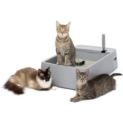 PetSafe Multi-Cat Litter Box 17 PetSafe Multi-Cat Litter Box -Pet Supplies Store 617526 PT6. AC SS1800 V1660255555