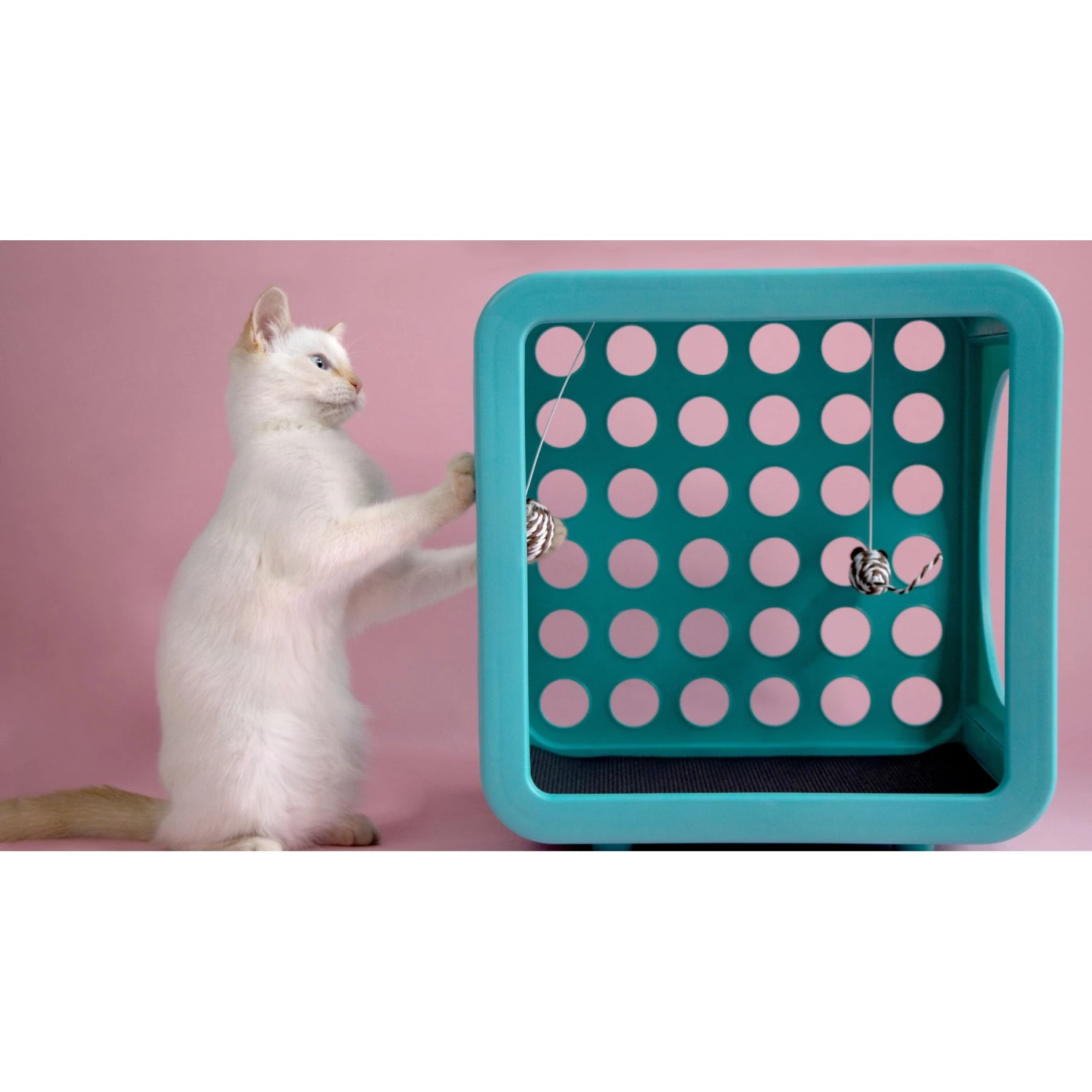 Kitty Kasa Snap On Recreation Cat House 5 Kitty Kasa Snap On Recreation Cat House - Image 3