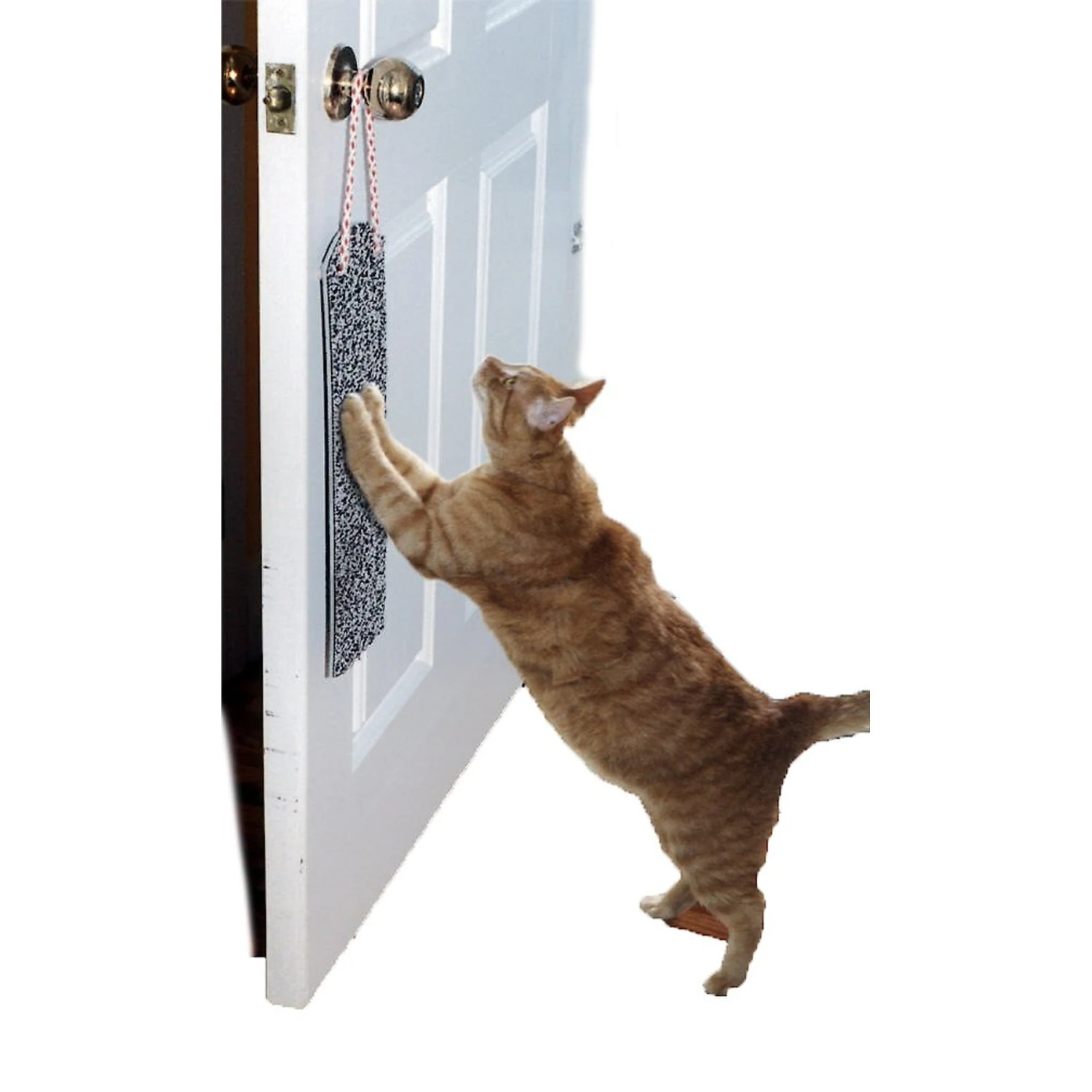 Omega Paw Door Hanging Cat Scratchy Pad 3 Omega Paw Door Hanging Cat Scratchy Pad