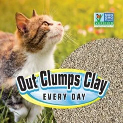 SmartCat All Natural Lightweight Corn & Wheat Clumping Cat Litter -Pet Supplies Store 635446 PT3. AC SS1800 V1666839122