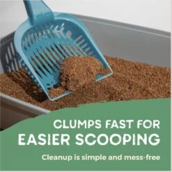 Naturally Fresh Quick Clumping Unscented Cat Litter, 40-lb Bag 15 Naturally Fresh Quick Clumping Unscented Cat Litter, 40-lb Bag -Pet Supplies Store 639646 PT6. AC SS1800 V1664228759