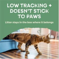 Naturally Fresh Quick Clumping Unscented Cat Litter, 40-lb Bag 16 Naturally Fresh Quick Clumping Unscented Cat Litter, 40-lb Bag -Pet Supplies Store 639646 PT7. AC SS1800 V1664228407