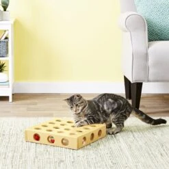 SmartCat Peek-a-Prize Toy Box 15 SmartCat Peek-a-Prize Toy Box -Pet Supplies Store 64209 PT6. AC SS1800 V1545170869