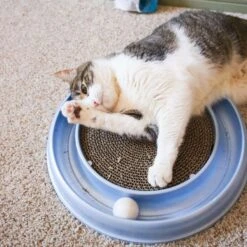 Bergan Scratcher Replacement Pads, 2 Count 12 Bergan Scratcher Replacement Pads, 2 Count -Pet Supplies Store 64228 PT4. AC SS1800 V1673648563