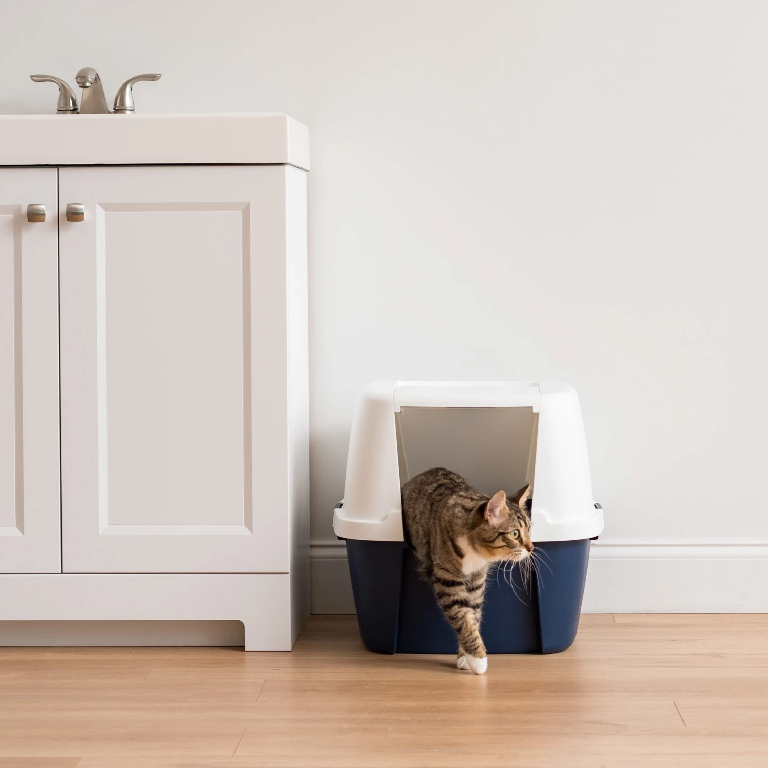 IRIS USA Jumbo Enclosed Hooded Cat Litter Box With Front Door Flap 4 IRIS USA Jumbo Enclosed Hooded Cat Litter Box With Front Door Flap - Image 2