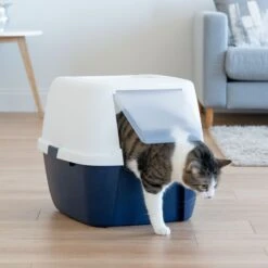IRIS USA Jumbo Enclosed Hooded Cat Litter Box With Front Door Flap 10 IRIS USA Jumbo Enclosed Hooded Cat Litter Box With Front Door Flap -Pet Supplies Store 645518 PT2. AC SS1800 V1687785446
