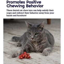 Catstages Plaque Away Pretzel Cat Toy With Catnip, Color Varies -Pet Supplies Store 64689 PT3. AC SS1800 V1631685732