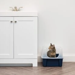IRIS USA Open Top Litter Box With Scatter Shield -Pet Supplies Store 65498 PT2. AC SS1800 V1680803978